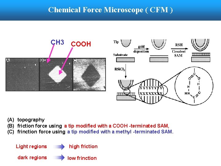 Chemical Force Microscope ( CFM ) CH 3 COOH (A) topography (B) friction force