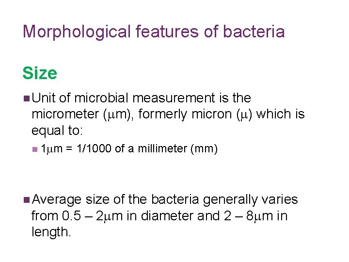 Morphological features of bacteria Size n Unit of microbial measurement is the micrometer (