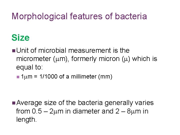 Morphological features of bacteria Size n Unit of microbial measurement is the micrometer (