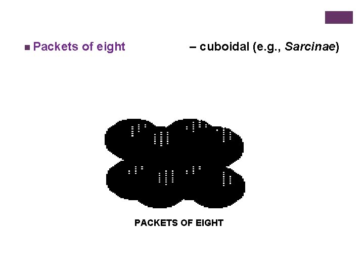 n Packets of eight – cuboidal (e. g. , Sarcinae) PACKETS OF EIGHT 