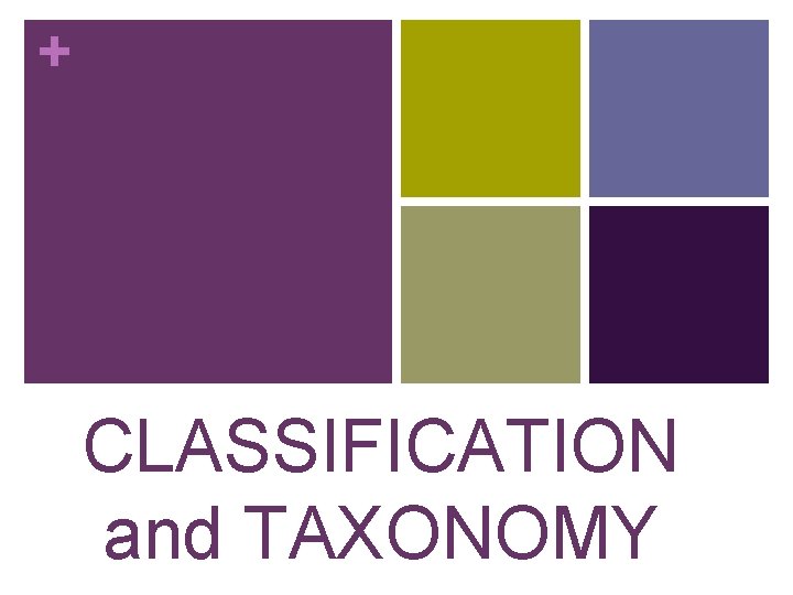 + CLASSIFICATION and TAXONOMY 