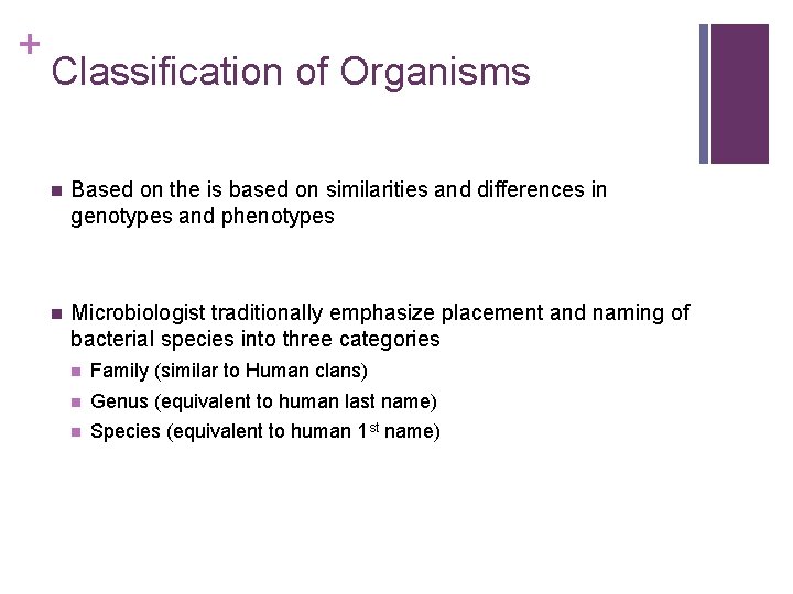 + Classification of Organisms n Based on the is based on similarities and differences