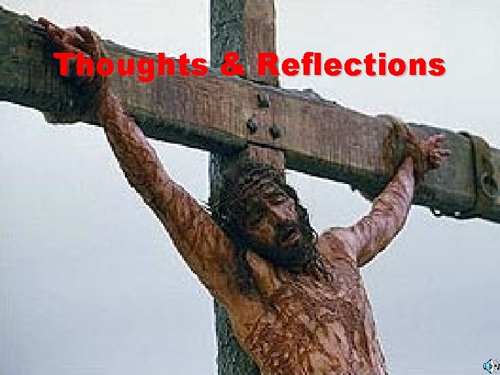 Thoughts & Reflections 