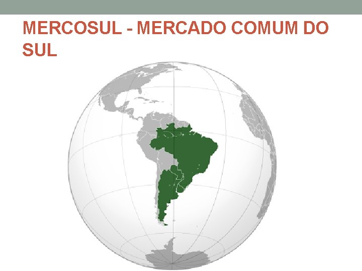MERCOSUL - MERCADO COMUM DO SUL 