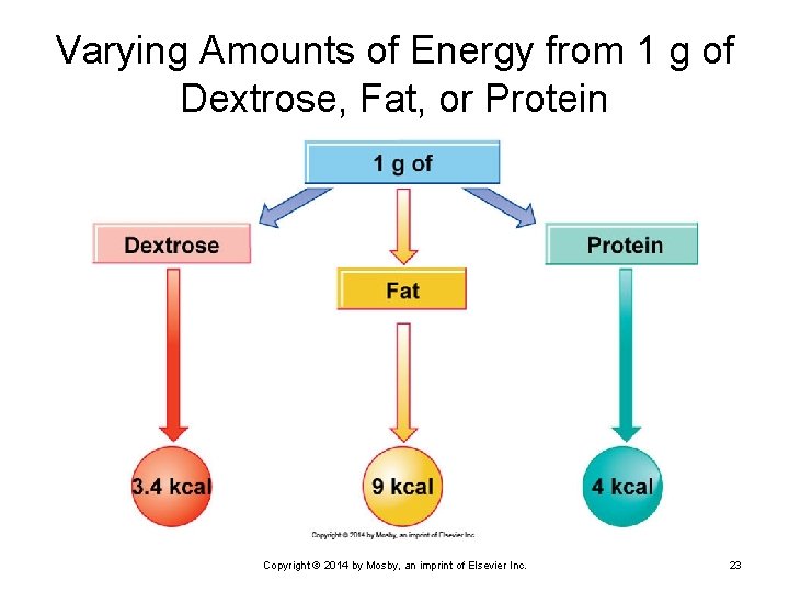 Varying Amounts of Energy from 1 g of Dextrose, Fat, or Protein Copyright ©