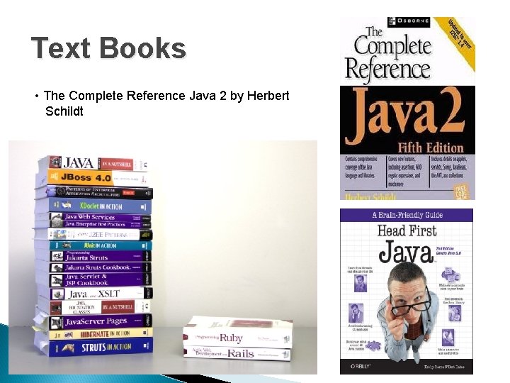 Text Books • The Complete Reference Java 2 by Herbert Schildt Text Books • The Complete Reference Java 2 by Herbert Schildt