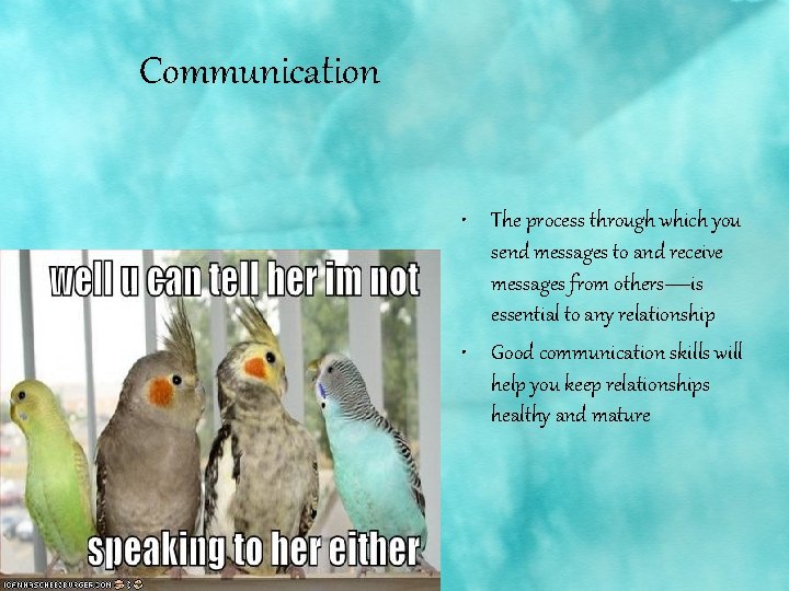 Communication • The process through which you send messages to and receive messages from