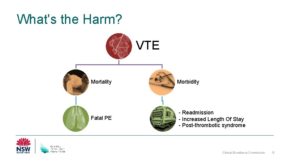 What's the Harm? VTE Mortality Fatal PE Morbidity - Readmission - Increased Length Of