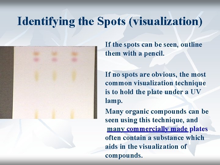 Identifying the Spots (visualization) If the spots can be seen, outline them with a