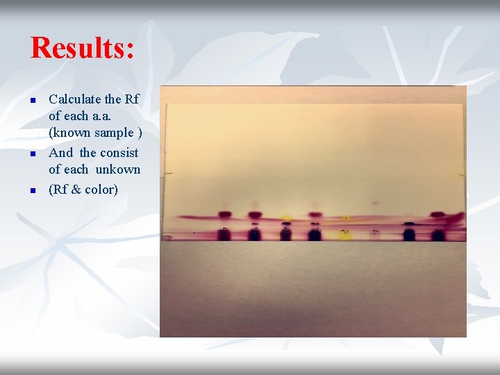 Results: n n n Calculate the Rf of each a. a. (known sample )