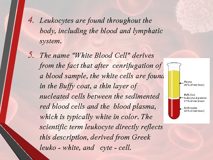 4. Leukocytes are found throughout the body, including the blood and lymphatic system. 5.