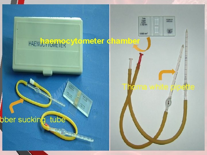 haemocytometer chamber bber sucking tube Thoma white pipette 