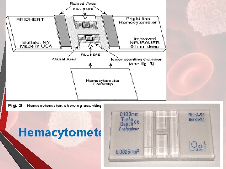 Hemacytometer 