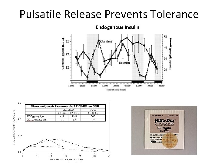 Pulsatile Release Prevents Tolerance Endogenous Insulin 