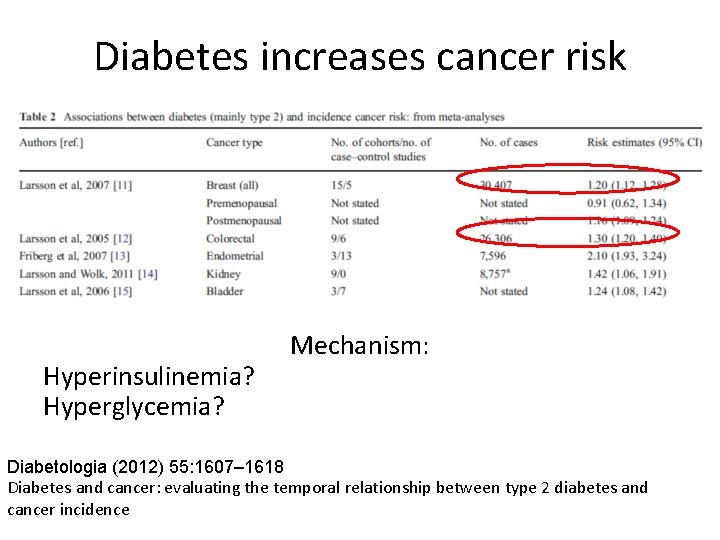 Diabetes increases cancer risk Hyperinsulinemia? Hyperglycemia? Mechanism: Diabetologia (2012) 55: 1607– 1618 Diabetes and