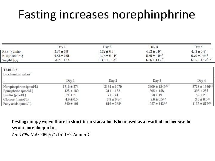 Fasting increases norephinphrine Resting energy expenditure in short-term starvation is increased as a result