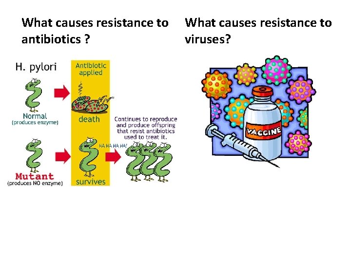 What causes resistance to antibiotics ? What causes resistance to viruses? 