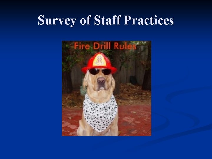 Survey of Staff Practices 