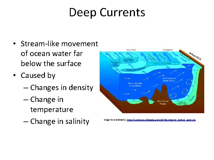 Deep Currents • Stream-like movement of ocean water far below the surface • Caused