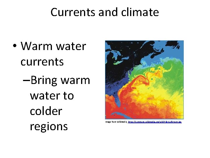 Currents and climate • Warm water currents –Bring warm water to colder regions Image