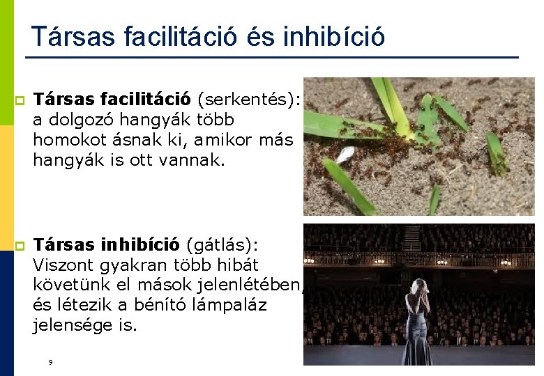 Társas facilitáció és inhibíció p Társas facilitáció (serkentés): a dolgozó hangyák több homokot ásnak Társas facilitáció és inhibíció p Társas facilitáció (serkentés): a dolgozó hangyák több homokot ásnak