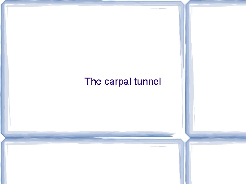 The carpal tunnel 