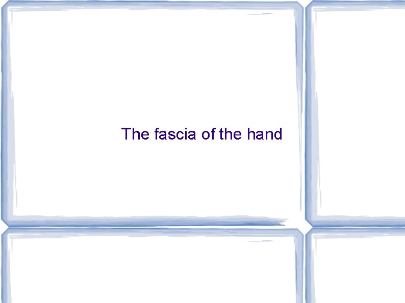 The fascia of the hand 