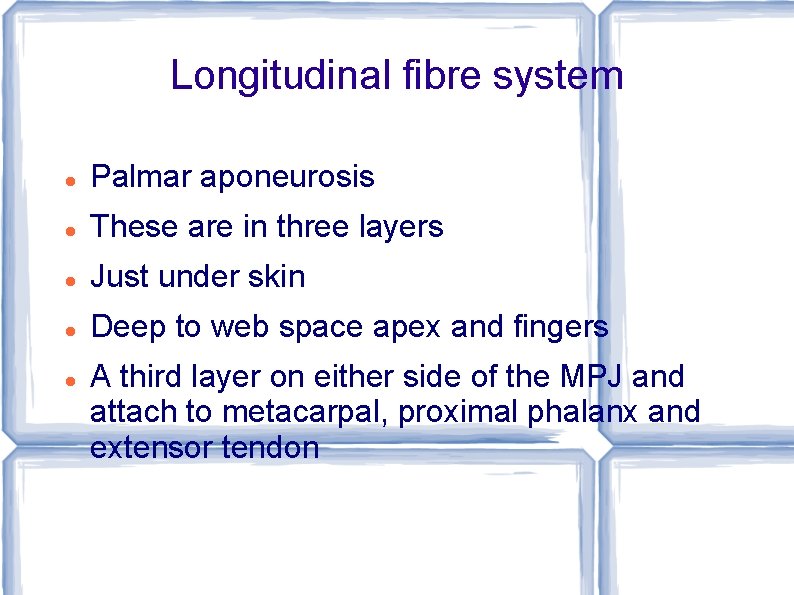 Longitudinal fibre system Palmar aponeurosis These are in three layers Just under skin Deep