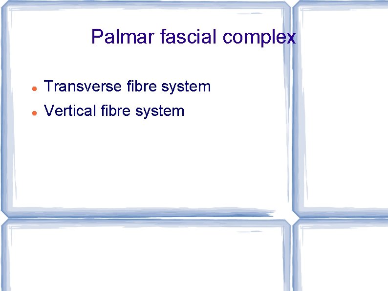 Palmar fascial complex Transverse fibre system Vertical fibre system 