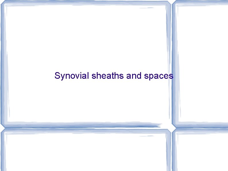 Synovial sheaths and spaces 