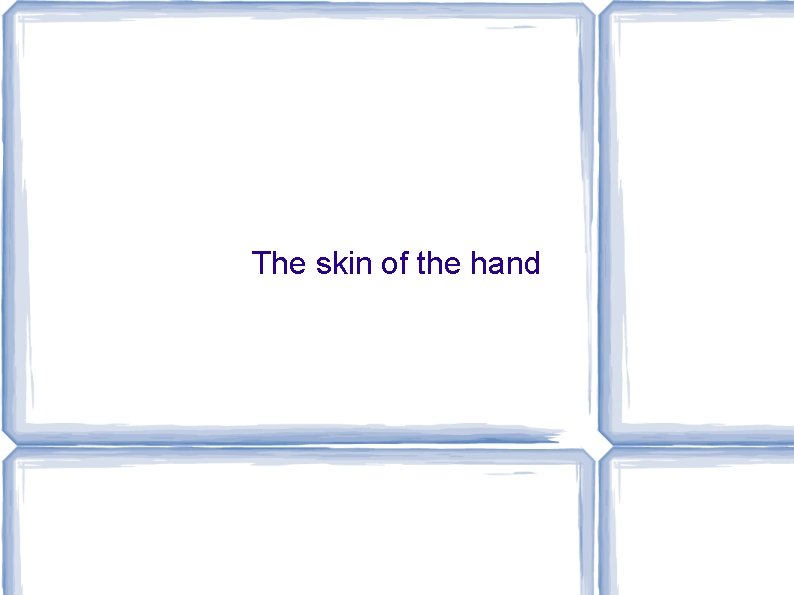 The skin of the hand 