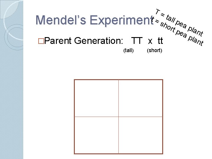 T= t = tall p sho ea rt p plan ea t pla nt