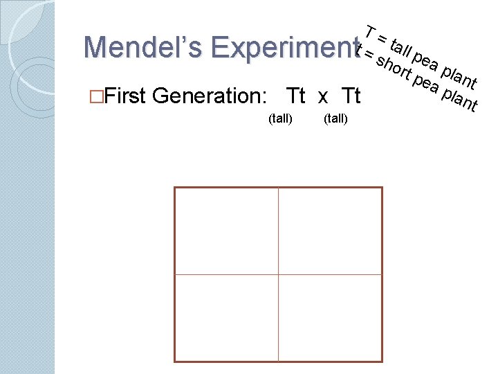 T= t = tall p sho ea rt p plan ea t p lan