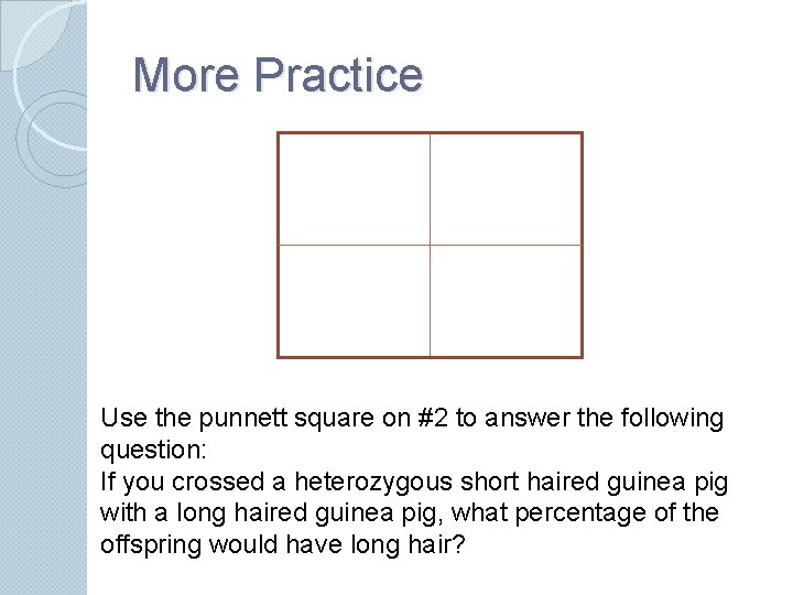 More Practice Use the punnett square on #2 to answer the following question: If