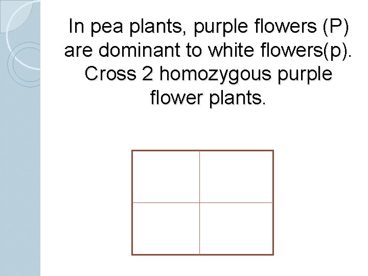 In pea plants, purple flowers (P) are dominant to white flowers(p). Cross 2 homozygous