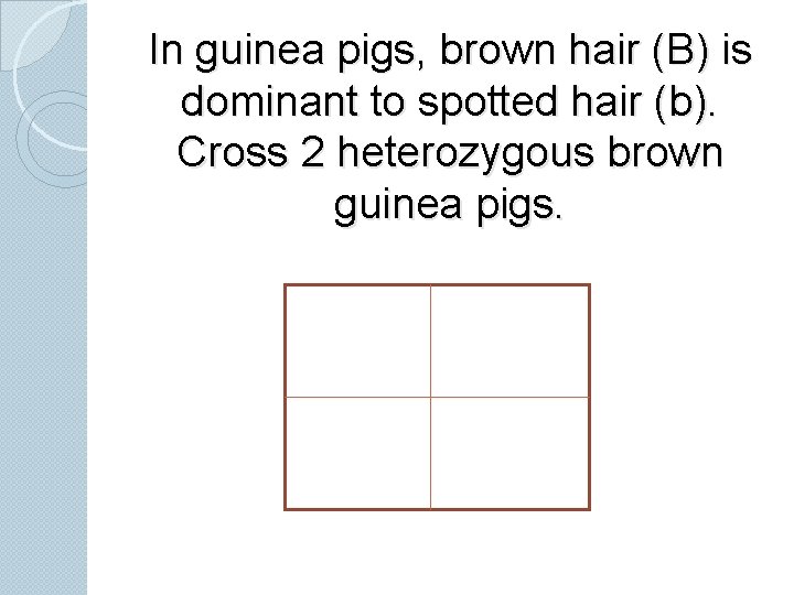 In guinea pigs, brown hair (B) is dominant to spotted hair (b). Cross 2