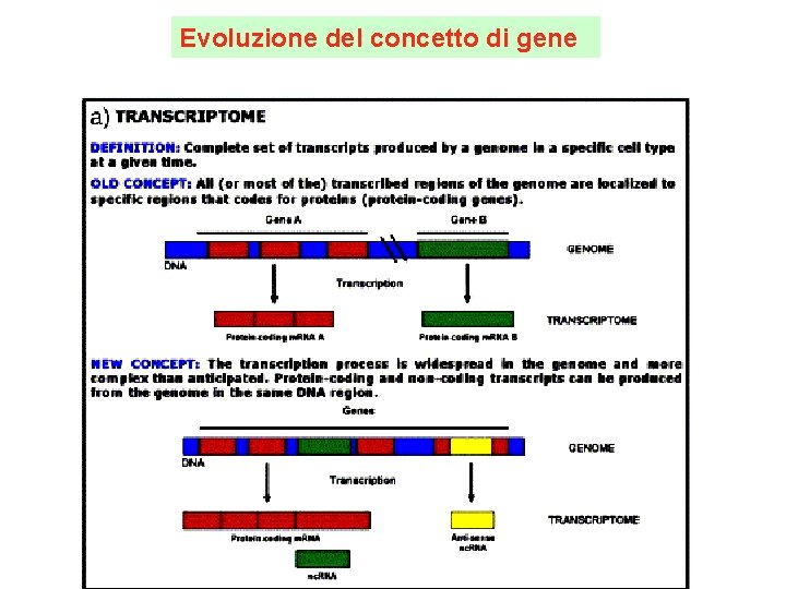 Evoluzione del concetto di gene 