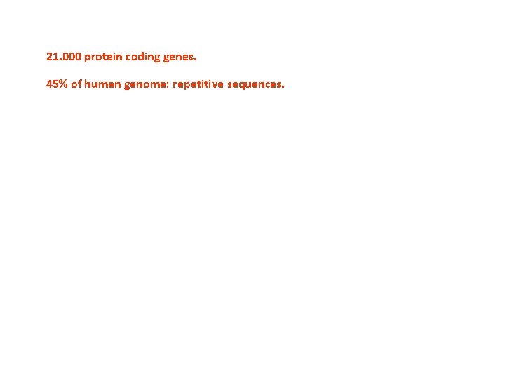 21. 000 protein coding genes. 45% of human genome: repetitive sequences. 