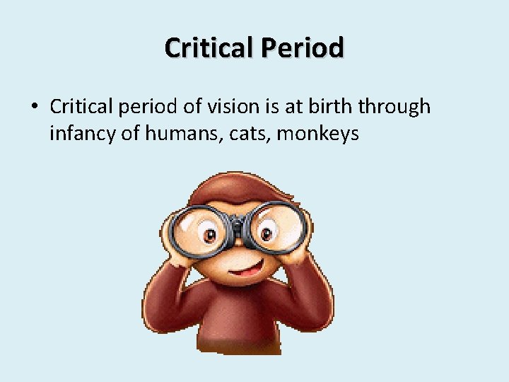 Critical Period • Critical period of vision is at birth through infancy of humans,
