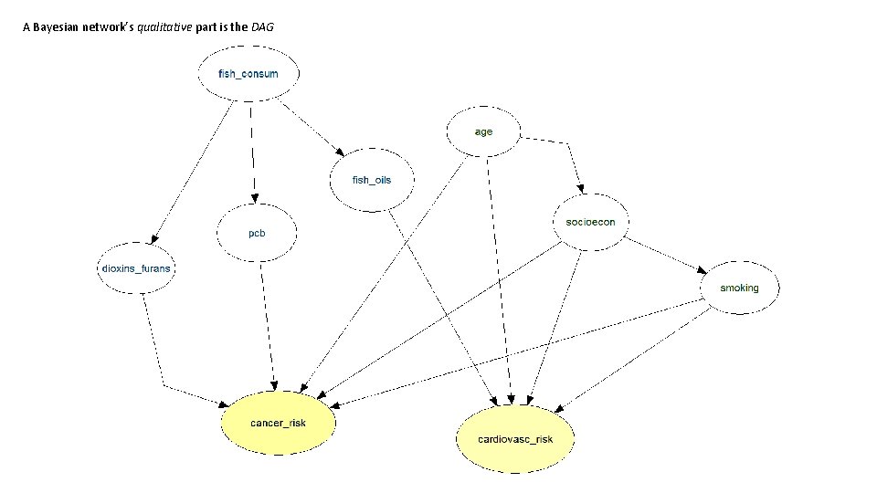A Bayesian network’s qualitative part is the DAG 