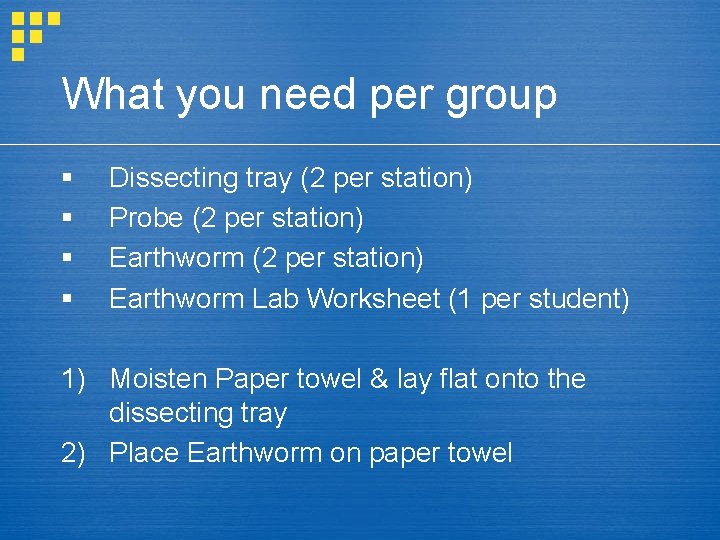 What you need per group § § Dissecting tray (2 per station) Probe (2