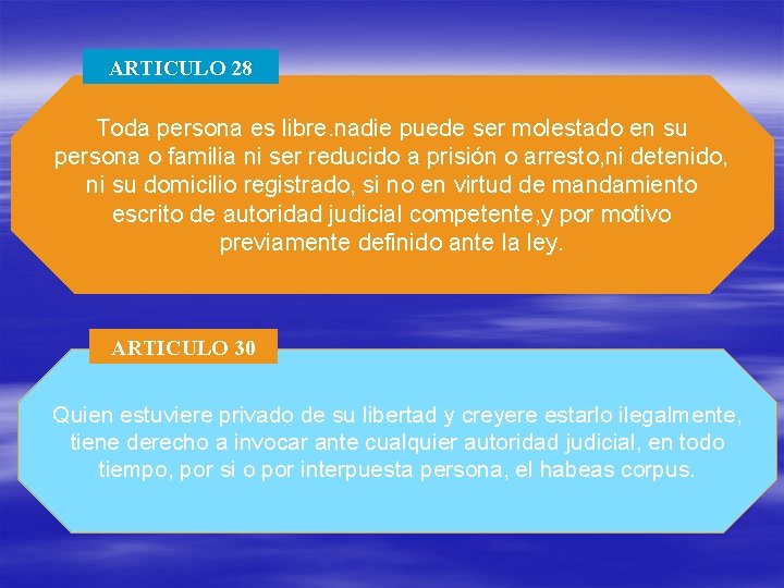 ARTICULO 28 Toda persona es libre. nadie puede ser molestado en su persona o