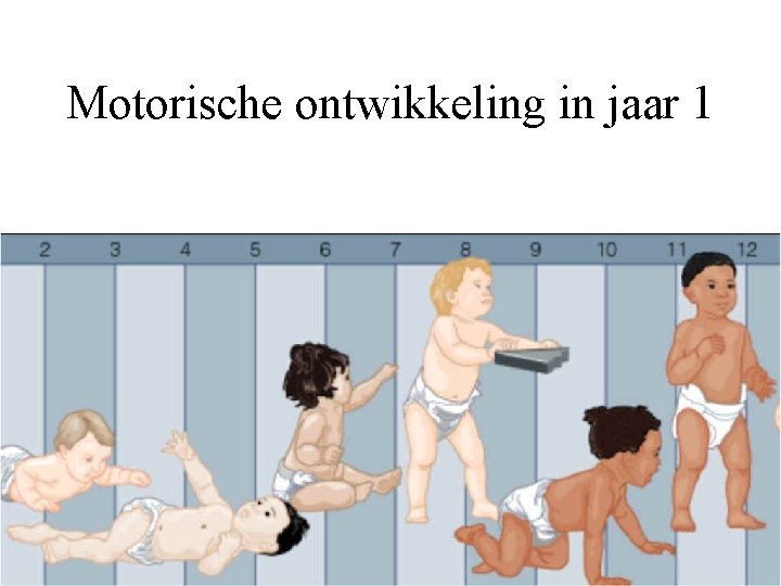 Motorische ontwikkeling in jaar 1 