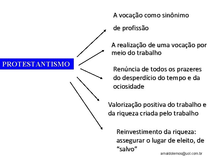 A vocação como sinônimo de profissão A realização de uma vocação por meio do