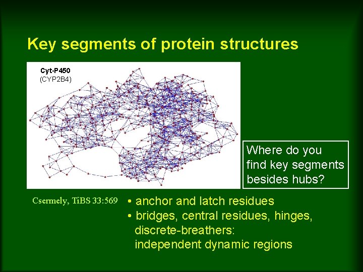 Key segments of protein structures Cyt-P 450 (CYP 2 B 4) Where do you