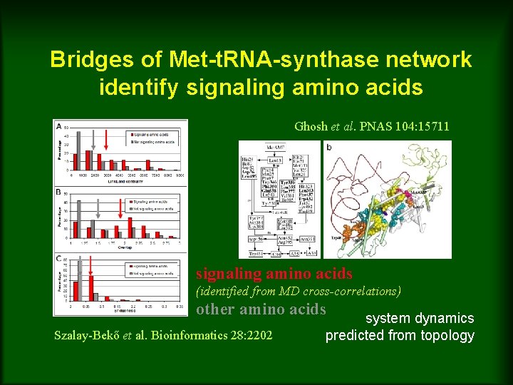 Bridges of Met-t. RNA-synthase network identify signaling amino acids Ghosh et al. PNAS 104: