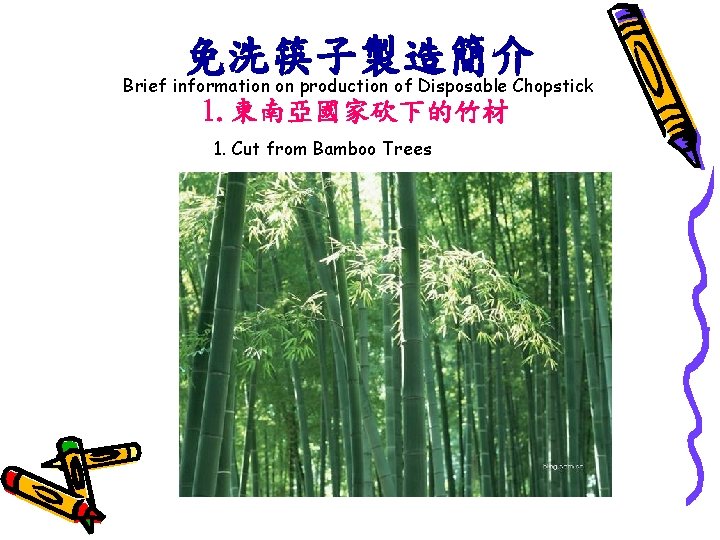 免洗筷子製造簡介 Brief information on production of Disposable Chopstick 1. 東南亞國家砍下的竹材 1. Cut from Bamboo