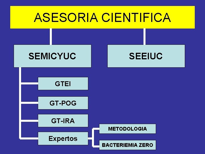 ASESORIA CIENTIFICA SEMICYUC SEEIUC GTEI GT-POG GT-IRA METODOLOGIA Expertos BACTERIEMIA ZERO 