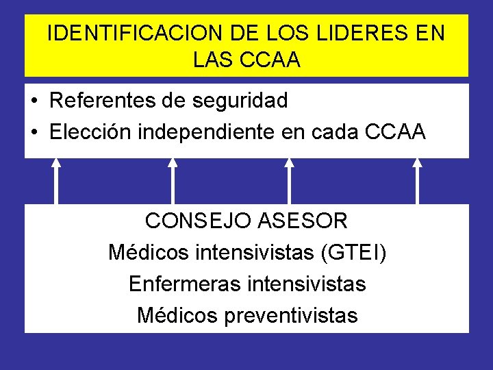 IDENTIFICACION DE LOS LIDERES EN LAS CCAA • Referentes de seguridad • Elección independiente