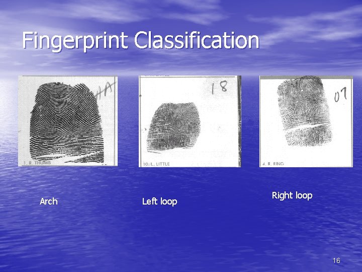 Fingerprint Classification Arch Left loop Right loop 16 
